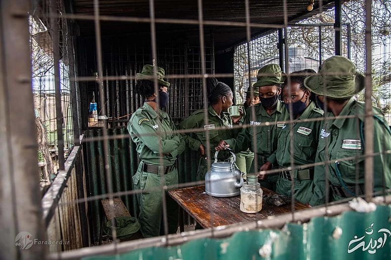 تصاویر/زنان محیط‌بانی که جان خود را برای حیات‌وحش به خطر می‌اندازند